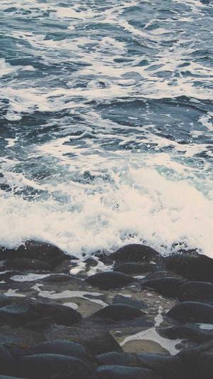 seo分词工具截图3