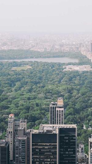 蜘蛛池和外链的区别截图3