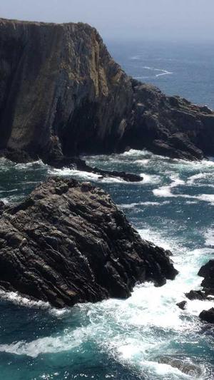 广州网站seo优化工具截图3