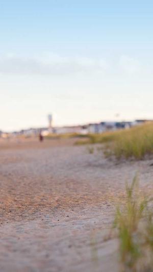 深圳seo网站推广工具截图1