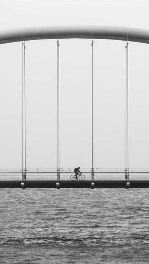 seo自动工具截图1