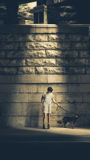 河北省网站建设截图1