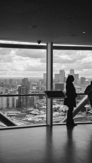 万能免费seo工具箱截图2