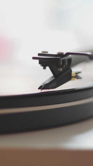 高权重泛目录截图5