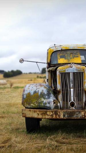 seo相关工具截图5