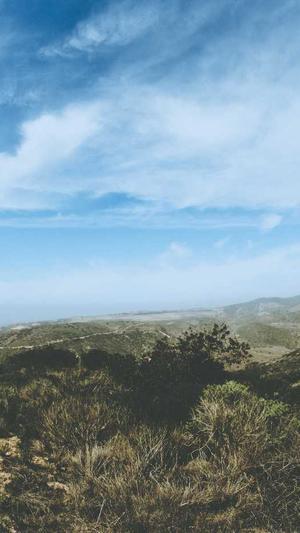 新疆网站建设截图3