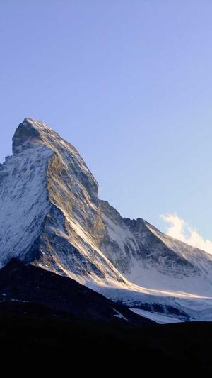 蜘蛛池没蜘蛛怎么回事截图3