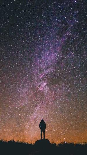 蜘蛛池的好处和坏处截图1