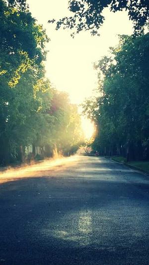 重庆seo网站系统截图4