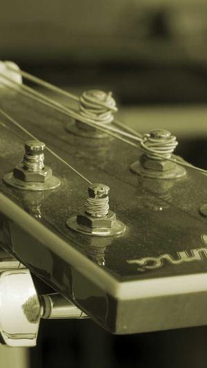 百度seo收费外推泛目录截图2