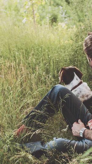 学校网站建设截图1