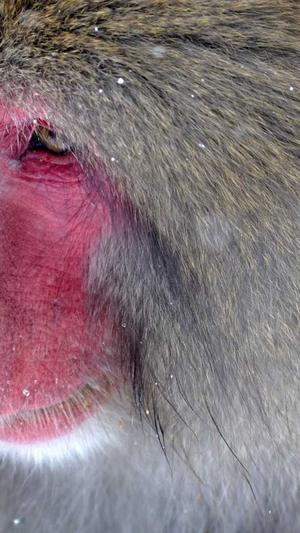 淄博seo网站优化截图2