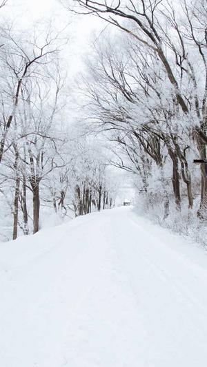 二级目录与泛目录截图4