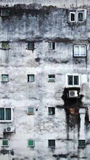 免费蜘蛛池seo 推广截图4