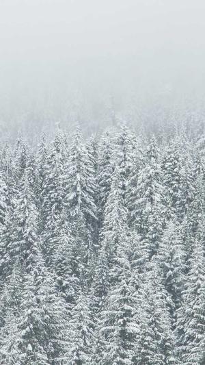 什么是seo技术截图4