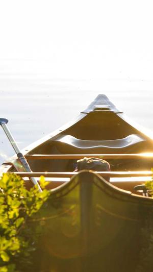 seo工具制作截图5