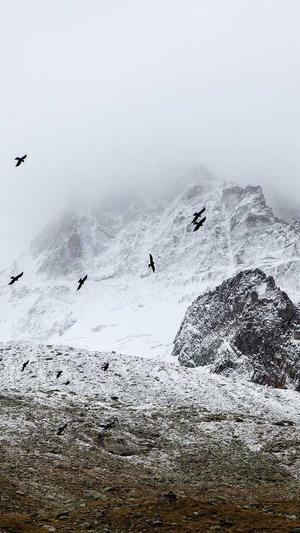 台州网站建设截图4