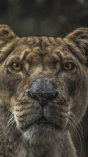 泛目录和站群区别截图2