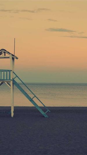 蜘蛛池搭建代码截图4