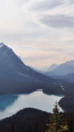网站建设多少钱截图5