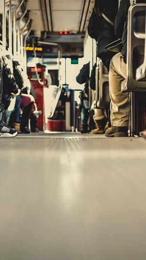 做蜘蛛池能赚钱吗截图2