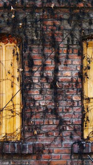 蜘蛛池使用教程图解截图3