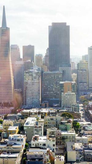 泛目录网站案例截图2