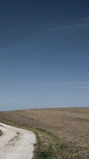 python蜘蛛池截图5