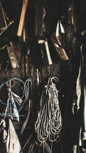 网站建设新闻截图4