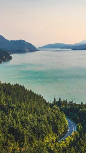 蜘蛛池的作用知乎截图2