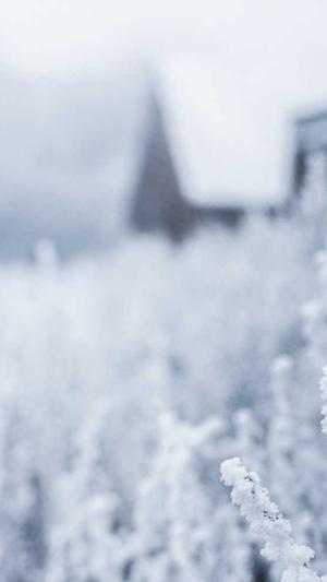 seo 刷关键词排名工具截图2