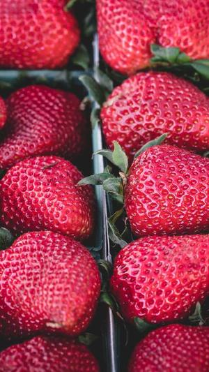 零距离泛目录源码截图1