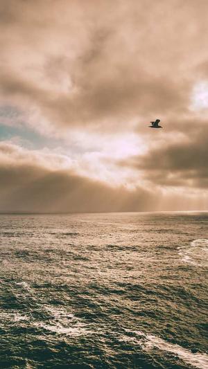 seo自动优化工具破解截图1