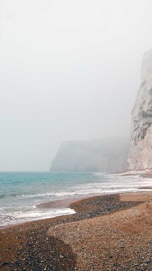 上海网站建设电话截图3