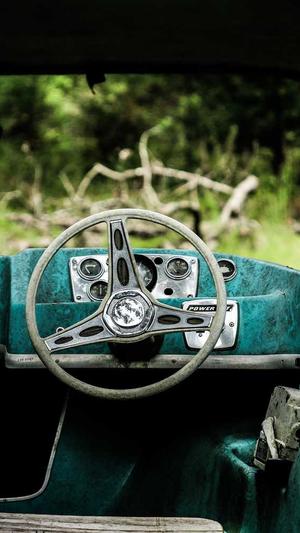 头条蜘蛛池租用截图1