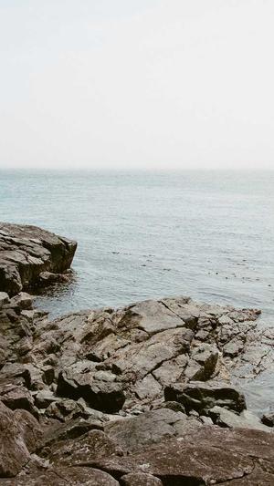 昆明网站建设制作截图1