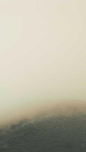 上海蜘蛛池出租截图2