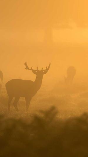 超级蜘蛛池怎么样截图3