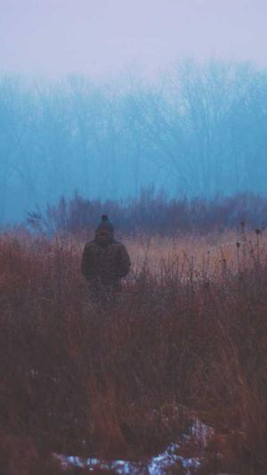 手机网站建设公司截图3