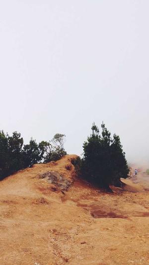 站长工具SEO截图1