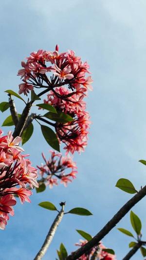 高酷蜘蛛池是什么截图2