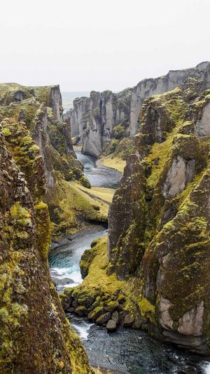 红河网站建设截图3