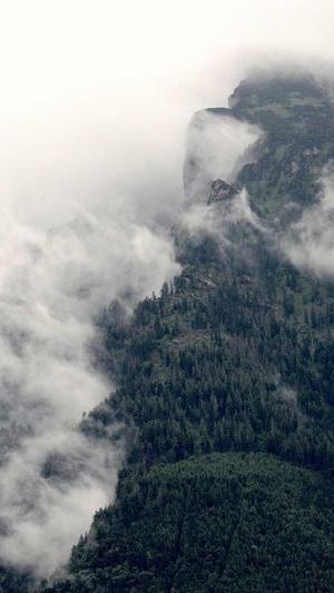 贵州省住房和城乡建设厅网站官网截图1