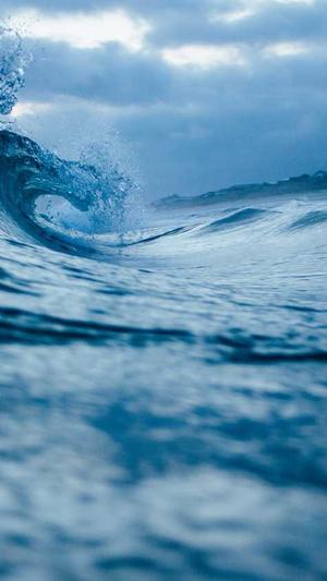 手机网站建设公司截图2