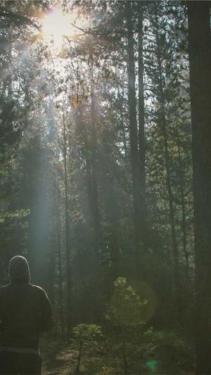 聚合泛目录截图1