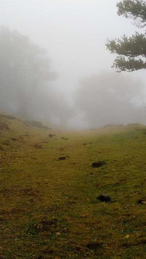 p2p蜘蛛池手机版截图2